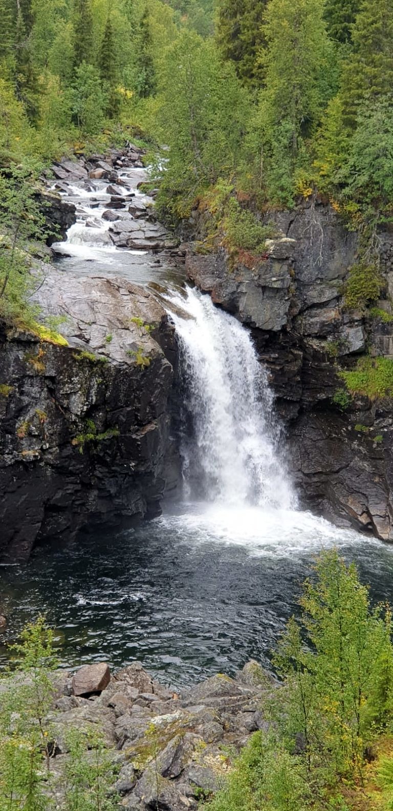 Herzliche Einladung zur Vortragsreihe „Språken i Norden och interskandinavisk språkförståelse. Språkgemenskap så in i Norden?“