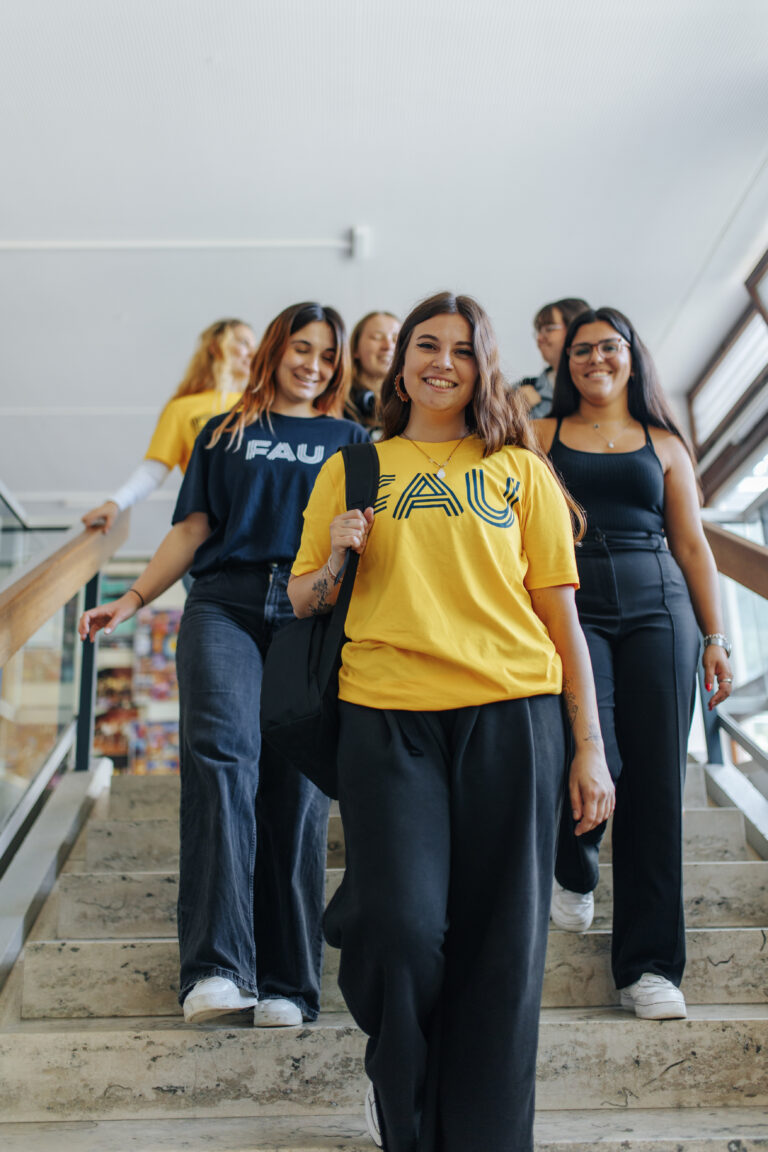 Beitragsbild für Bachelorstudiengänge